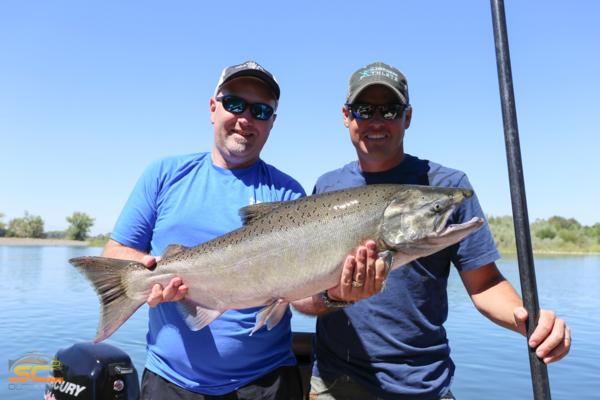 Mark W - King Salmon Sacramento River
